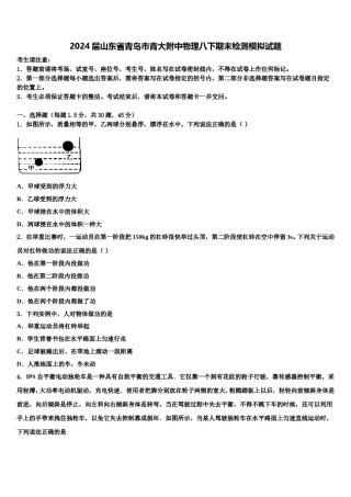 2024届山东省青岛市青大附中物理八下期末检测模拟试题含解析.doc