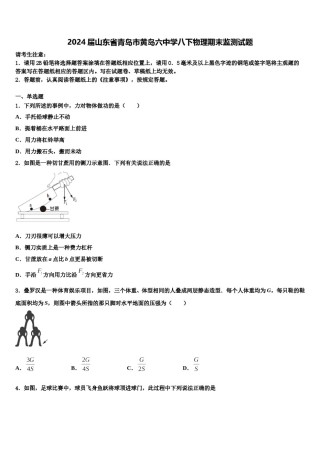2024届山东省青岛市黄岛六中学八下物理期末监测试题含解析.doc