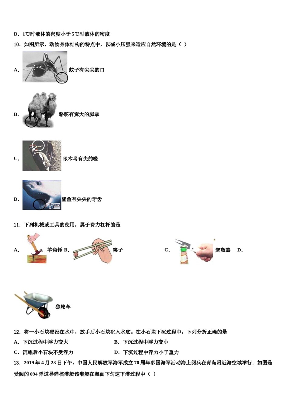 2024届山东省青岛胶州市、黄岛区、平度区、李沧区物理八下期末达标检测试题含解析.doc_第3页
