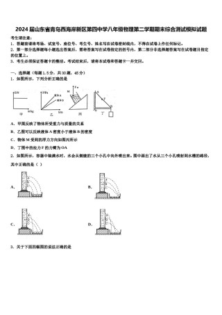 2024届山东省青岛西海岸新区第四中学八年级物理第二学期期末综合测试模拟试题含解析.doc