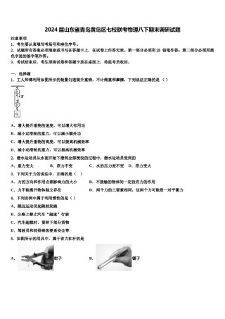 2024届山东省青岛黄岛区七校联考物理八下期末调研试题含解析.doc