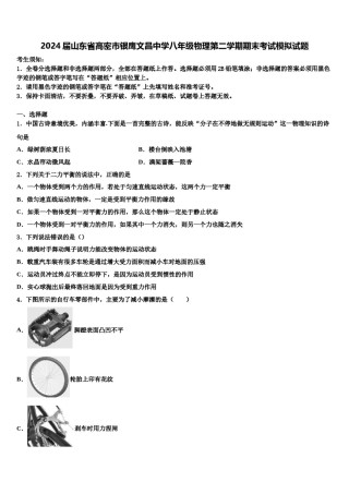 2024届山东省高密市银鹰文昌中学八年级物理第二学期期末考试模拟试题含解析.doc