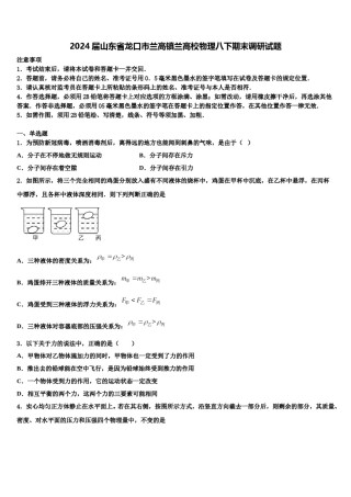 2024届山东省龙口市兰高镇兰高校物理八下期末调研试题含解析.doc