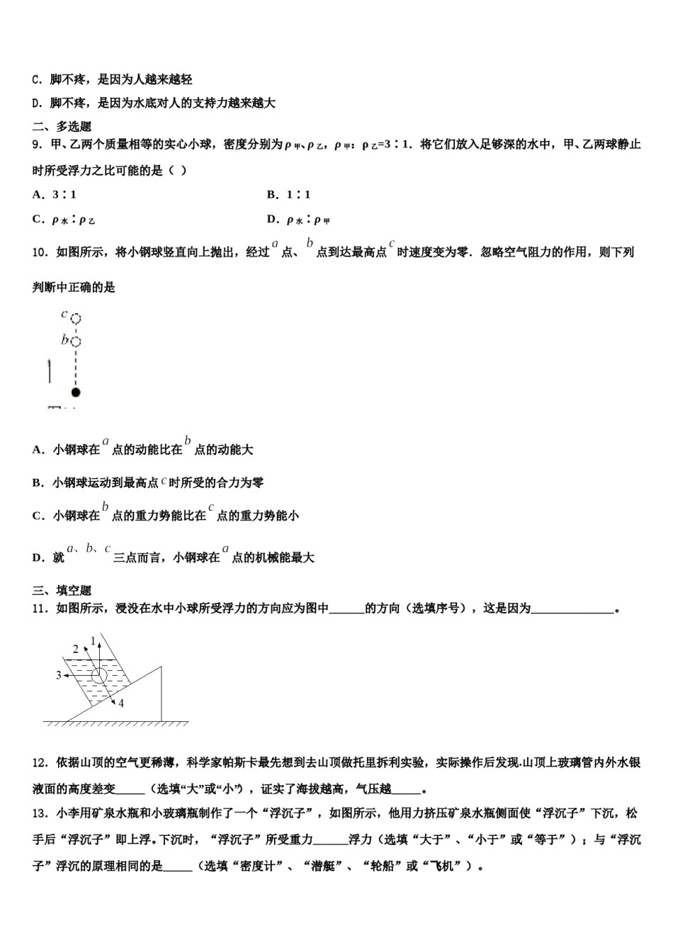 2024届山东聊城市阳谷实验中学物理八下期末考试试题含解析.doc_第3页