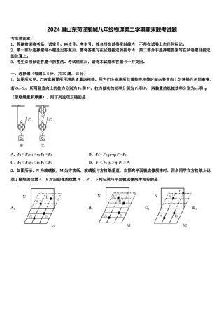 2024届山东菏泽郓城八年级物理第二学期期末联考试题含解析.doc