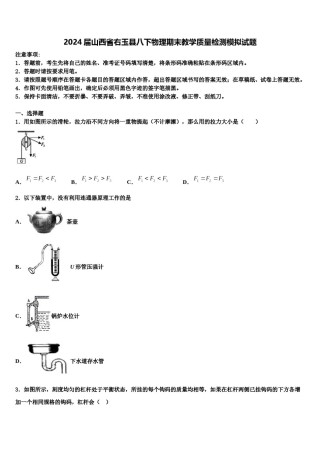 2024届山西省右玉县八下物理期末教学质量检测模拟试题含解析.doc