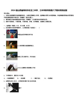 2024届山西省朔州市右玉二中学、三中学联考物理八下期末预测试题含解析.doc