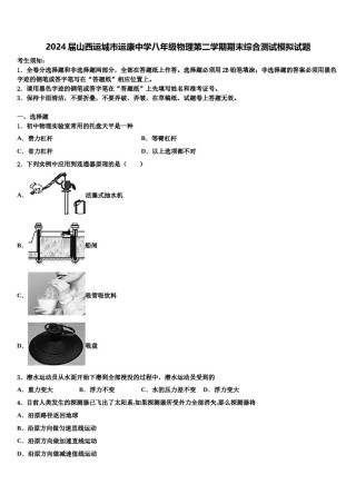 2024届山西运城市运康中学八年级物理第二学期期末综合测试模拟试题含解析.doc
