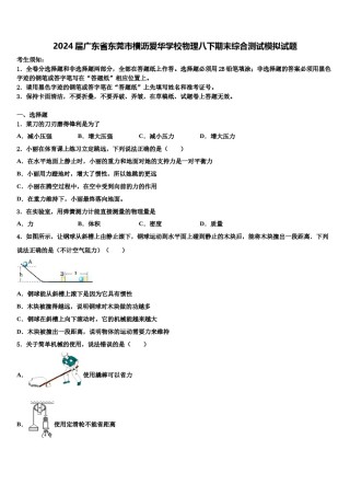 2024届广东省东莞市横沥爱华学校物理八下期末综合测试模拟试题含解析.doc