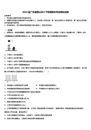 2024届广东省佛山市八下物理期末考试模拟试题含解析.doc