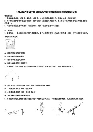 2024届广东省广外大附中八下物理期末质量跟踪监视模拟试题含解析.doc