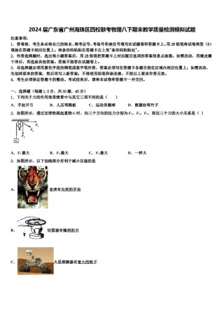 2024届广东省广州海珠区四校联考物理八下期末教学质量检测模拟试题含解析.doc