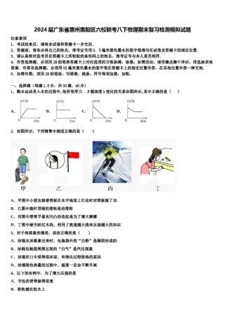 2024届广东省惠州惠阳区六校联考八下物理期末复习检测模拟试题含解析.doc