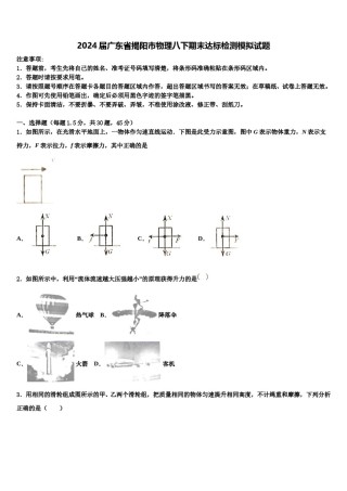 2024届广东省揭阳市物理八下期末达标检测模拟试题含解析.doc