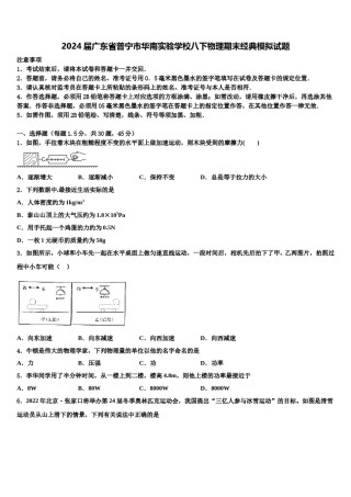 2024届广东省普宁市华南实验学校八下物理期末经典模拟试题含解析.doc