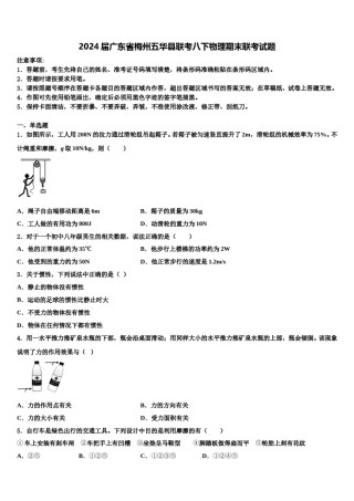 2024届广东省梅州五华县联考八下物理期末联考试题含解析.doc