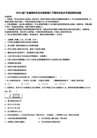 2024届广东省梅州市五华县物理八下期末学业水平测试模拟试题含解析.doc