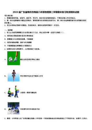 2024届广东省梅州市梅县八年级物理第二学期期末复习检测模拟试题含解析.doc