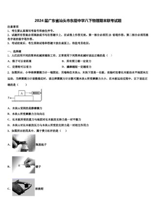 2024届广东省汕头市东厦中学八下物理期末联考试题含解析.doc