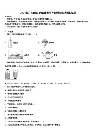 2024届广东省江门市台山市八下物理期末联考模拟试题含解析.doc