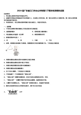 2024届广东省江门市台山市物理八下期末检测模拟试题含解析.doc