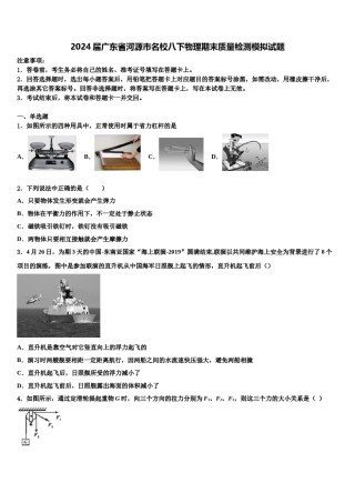 2024届广东省河源市名校八下物理期末质量检测模拟试题含解析.doc