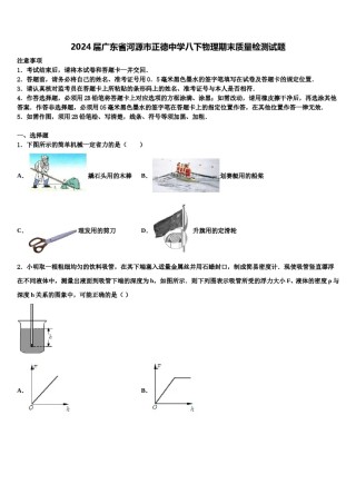 2024届广东省河源市正德中学八下物理期末质量检测试题含解析.doc