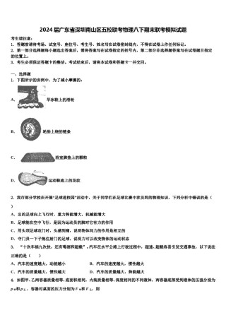 2024届广东省深圳南山区五校联考物理八下期末联考模拟试题含解析.doc
