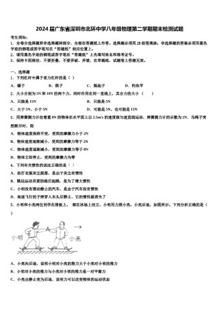 2024届广东省深圳市北环中学八年级物理第二学期期末检测试题含解析.doc