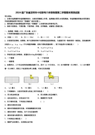 2024届广东省深圳市十校联考八年级物理第二学期期末预测试题含解析.doc