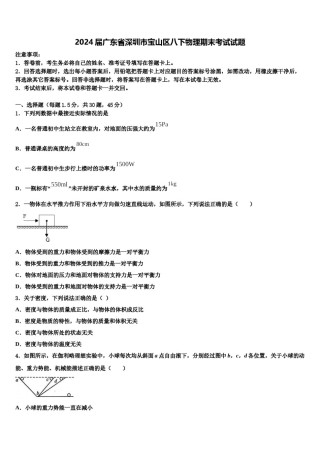 2024届广东省深圳市宝山区八下物理期末考试试题含解析.doc