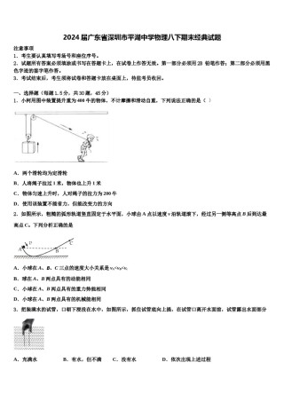 2024届广东省深圳市平湖中学物理八下期末经典试题含解析.doc