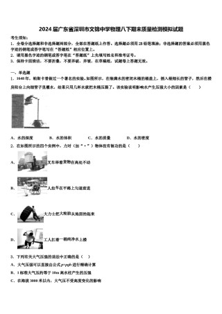 2024届广东省深圳市文锦中学物理八下期末质量检测模拟试题含解析.doc