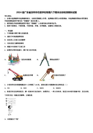 2024届广东省深圳市石厦学校物理八下期末达标检测模拟试题含解析.doc