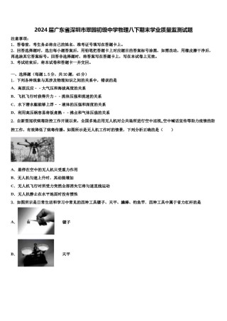 2024届广东省深圳市翠园初级中学物理八下期末学业质量监测试题含解析.doc