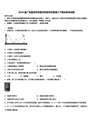 2024届广东省深圳市耀华实验学校物理八下期末联考试题含解析.doc