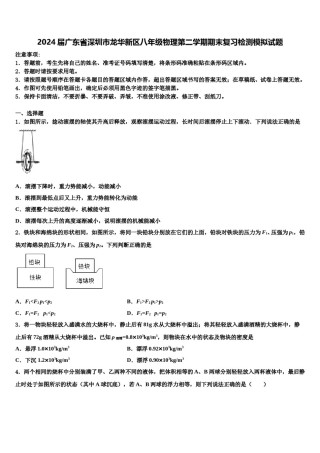2024届广东省深圳市龙华新区八年级物理第二学期期末复习检测模拟试题含解析.doc