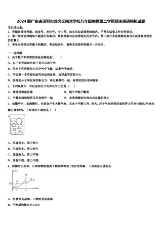 2024届广东省深圳市龙岗区南湾学校八年级物理第二学期期末调研模拟试题含解析.doc