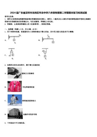 2024届广东省深圳市龙岗区布吉中学八年级物理第二学期期末复习检测试题含解析.doc