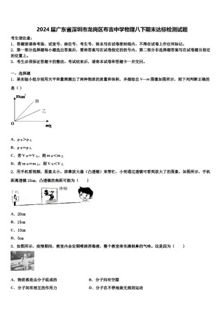 2024届广东省深圳市龙岗区布吉中学物理八下期末达标检测试题含解析.doc
