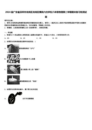 2024届广东省深圳市龙岗区龙岗区横岗六约学校八年级物理第二学期期末复习检测试题含解析.doc