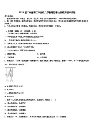 2024届广东省湛江市名校八下物理期末达标检测模拟试题含解析.doc
