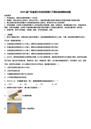 2024届广东省湛江市名校物理八下期末监测模拟试题含解析.doc