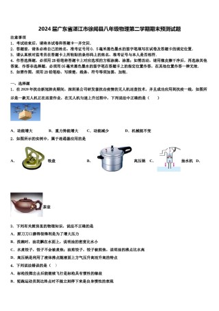 2024届广东省湛江市徐闻县八年级物理第二学期期末预测试题含解析.doc