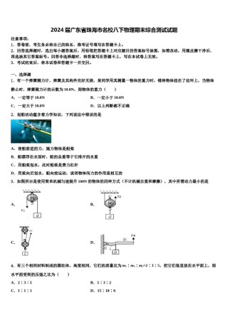2024届广东省珠海市名校八下物理期末综合测试试题含解析.doc