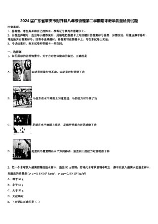 2024届广东省肇庆市封开县八年级物理第二学期期末教学质量检测试题含解析.doc