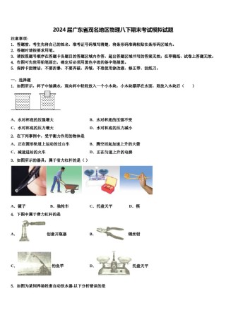 2024届广东省茂名地区物理八下期末考试模拟试题含解析.doc