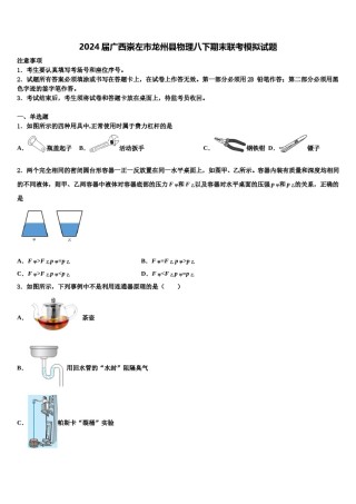 2024届广西崇左市龙州县物理八下期末联考模拟试题含解析.doc