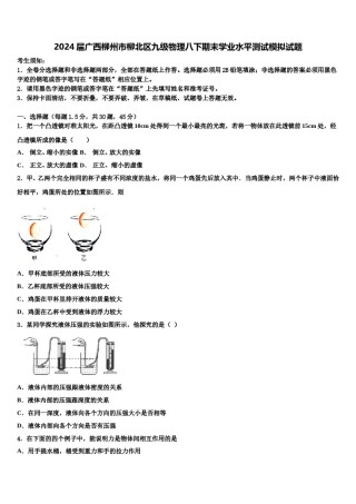 2024届广西柳州市柳北区九级物理八下期末学业水平测试模拟试题含解析.doc