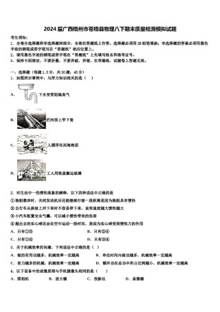 2024届广西梧州市苍梧县物理八下期末质量检测模拟试题含解析.doc